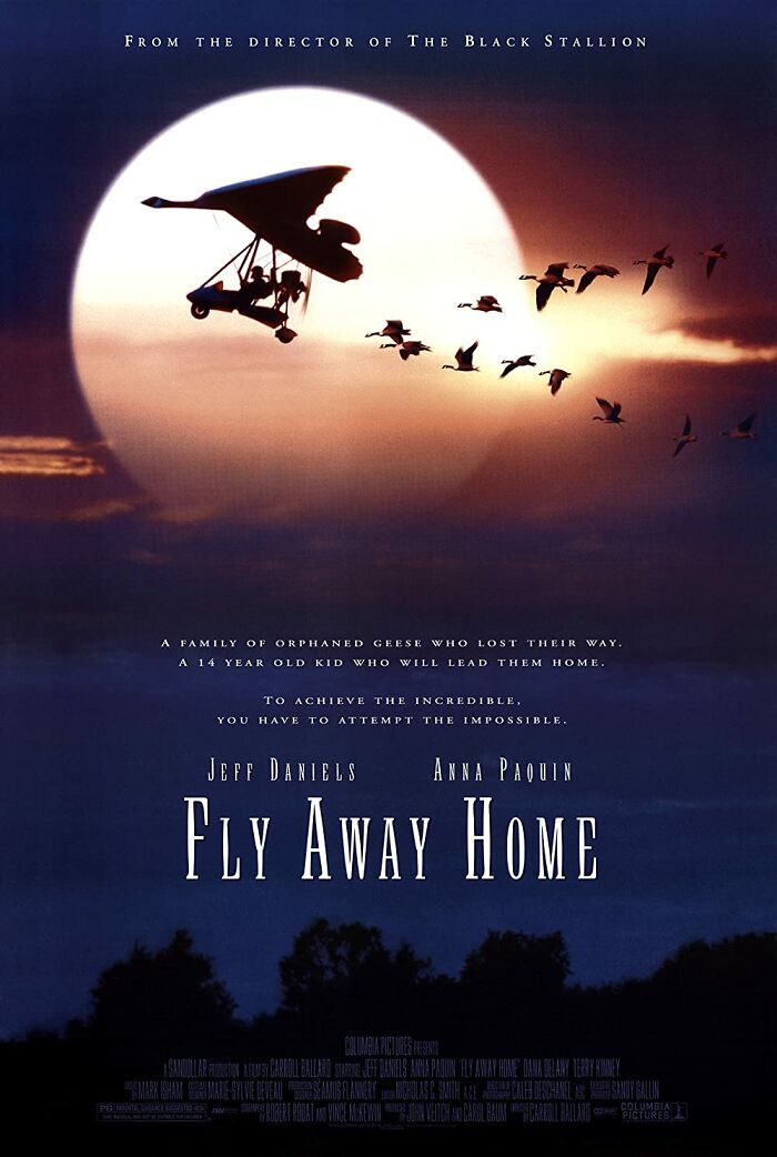 Volando Libre (1996)