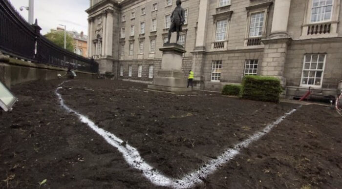 El Trinity College de Dublín sustituye el césped por una pradera de flores silvestres para aumentar la biodiversidad