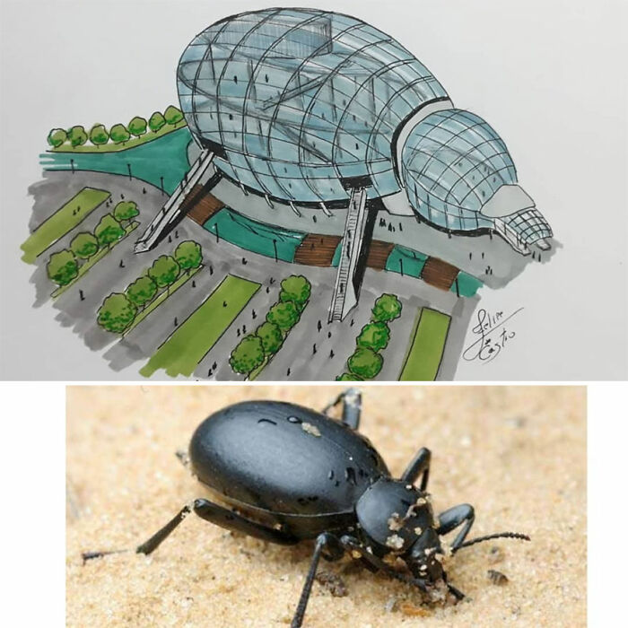 30 Of The Most Impressive Architectural Ideas Inspired By Simple Everyday Objects (New Pics)