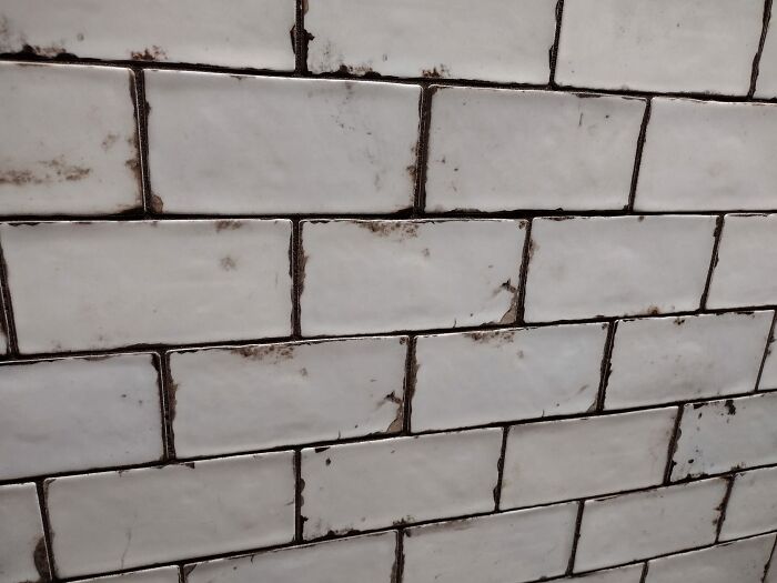 Elección. Nunca me sentiría como si esto estuviera limpio, parece como si hubieran usado m*erda para adherir los azulejos a la pared...