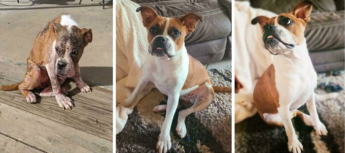 Nuestro pequeño rescate, menos de 6 meses después de ser salvado