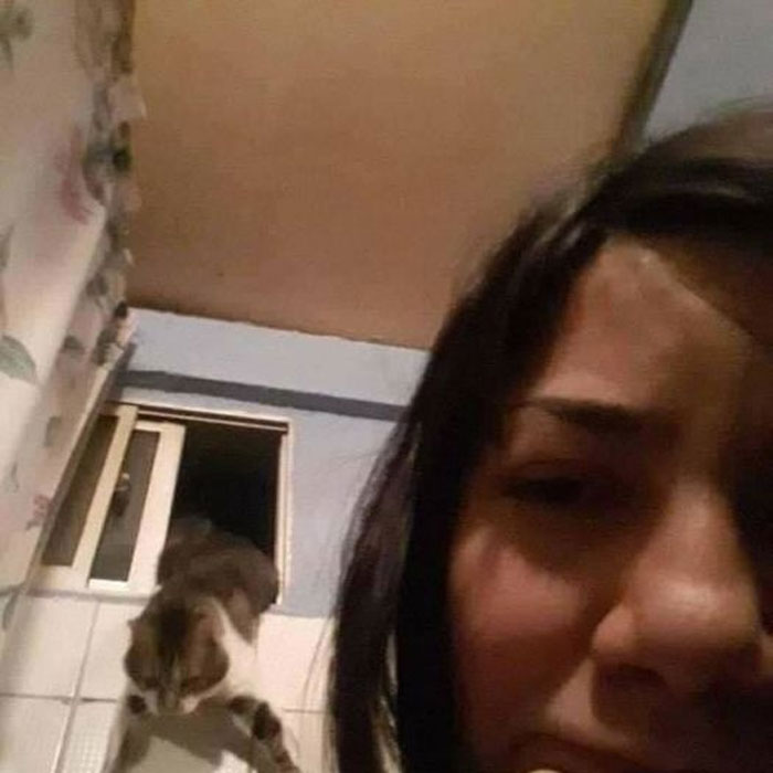 50 Of The Best Pics Of 'Cats With Threatening Auras'