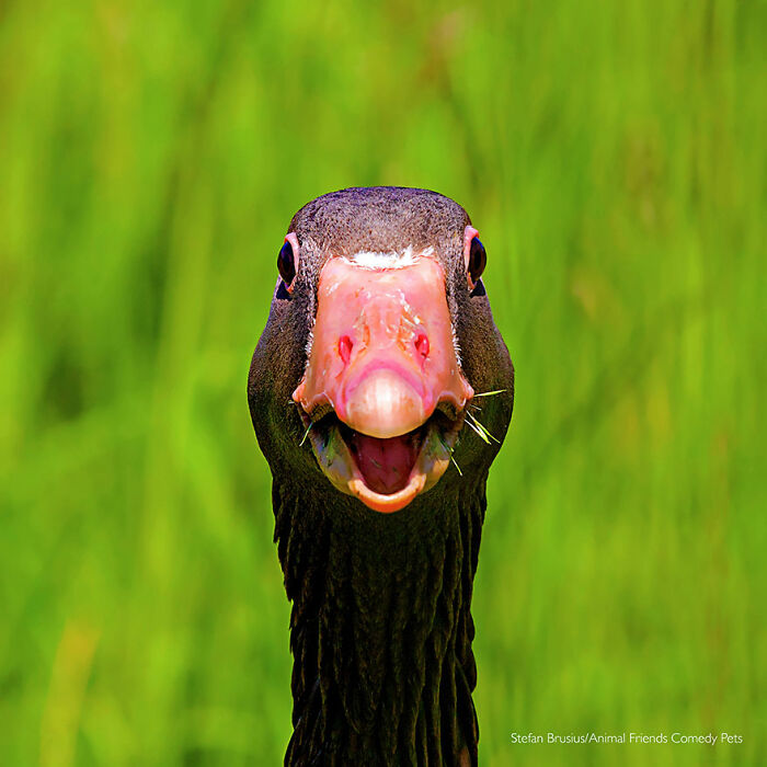 'Te estoy hablando a ti' por Stefan Brusius