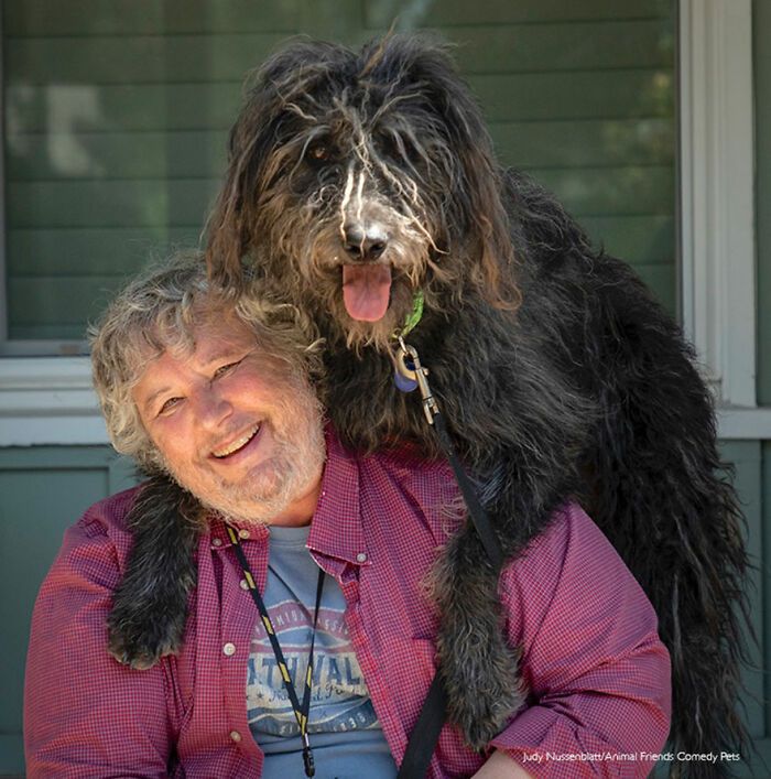 'Dave y Dudley' por Judy Nussenblatt