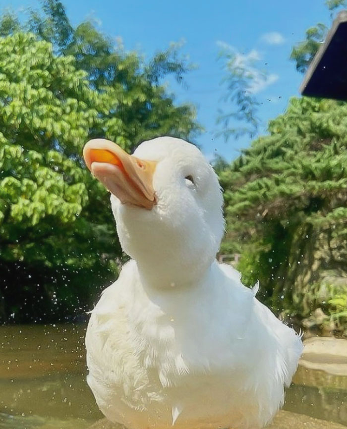 Tomando el sol