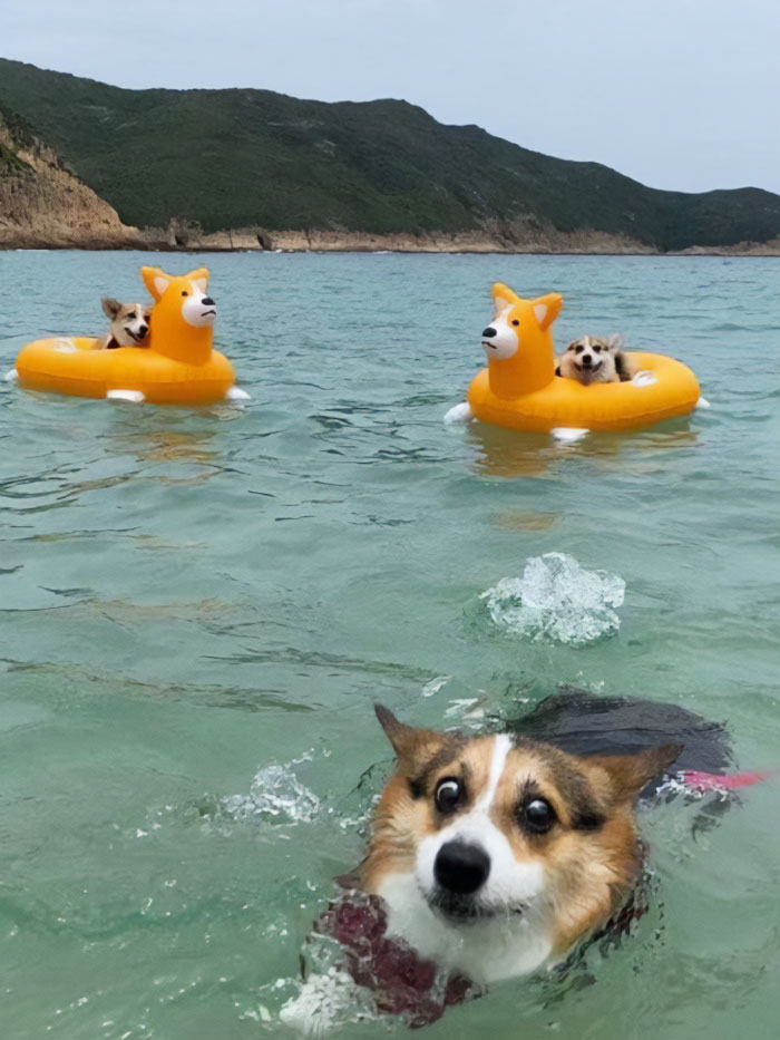 30 Hilariously Goofy Animals To Brighten Up Your Day (New Pics)