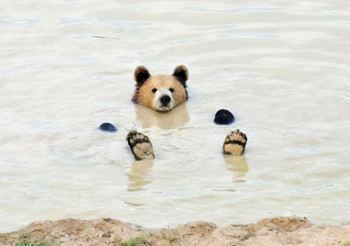 30 Hilariously Goofy Animals To Brighten Up Your Day (New Pics)