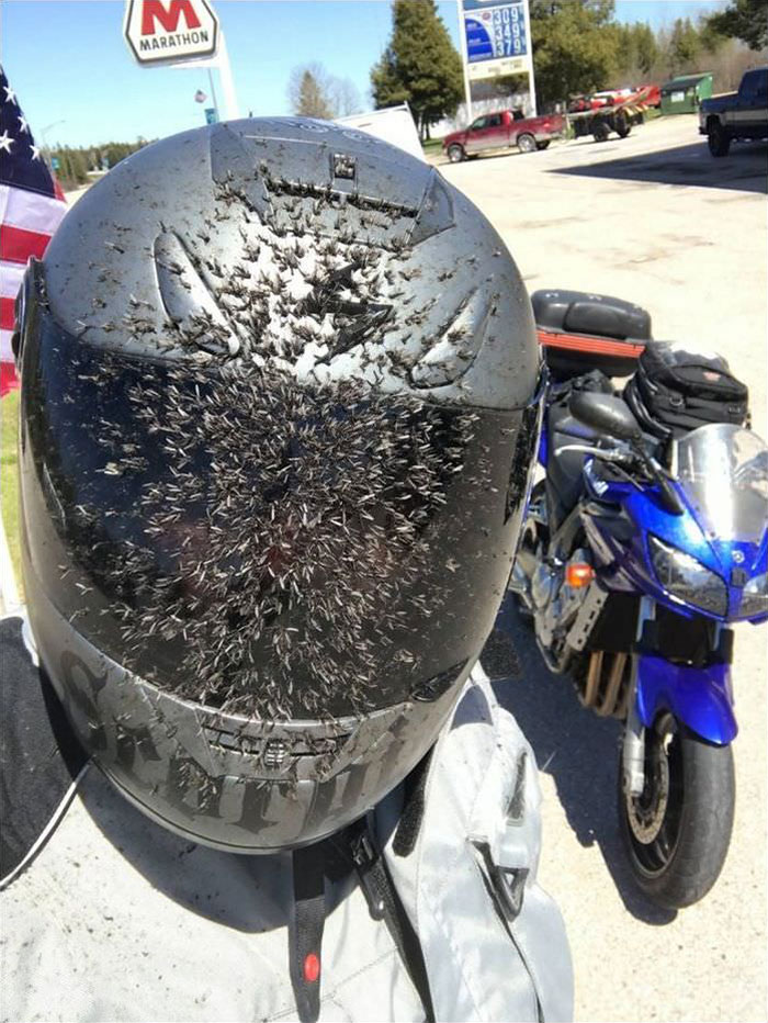 Otra razón para usar casco