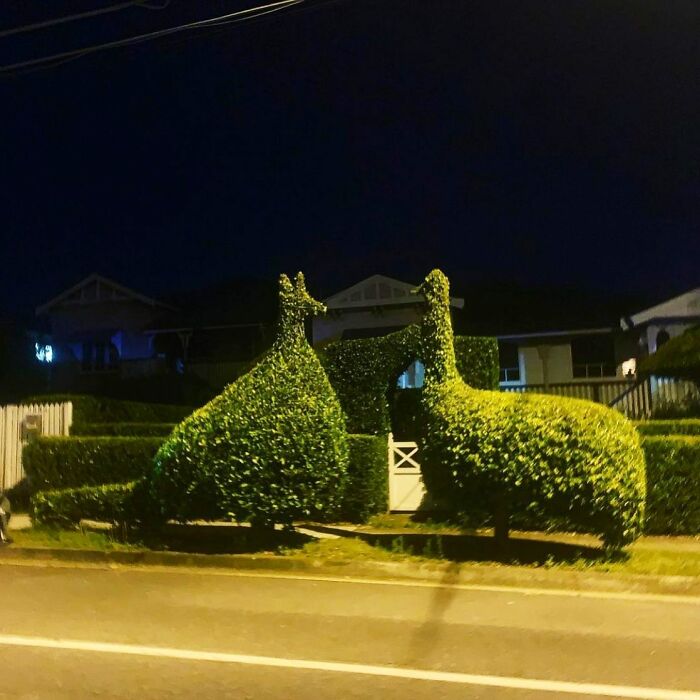  Emblemático 