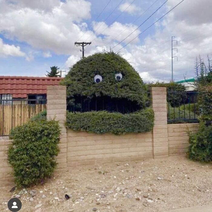Cuidado con este arbusto 