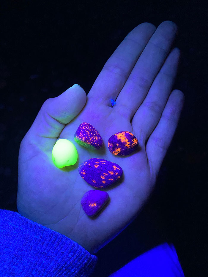 Las encontré en las riberas del lago Michigan. Son fluorescentes bajo la luz ultravioleta