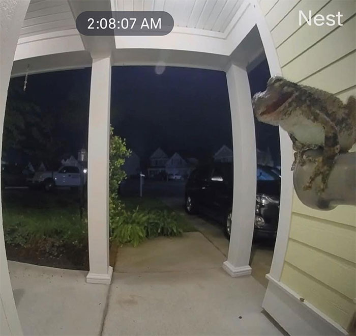 2 A.m.— Alerta de "Alguien está en tu puerta"