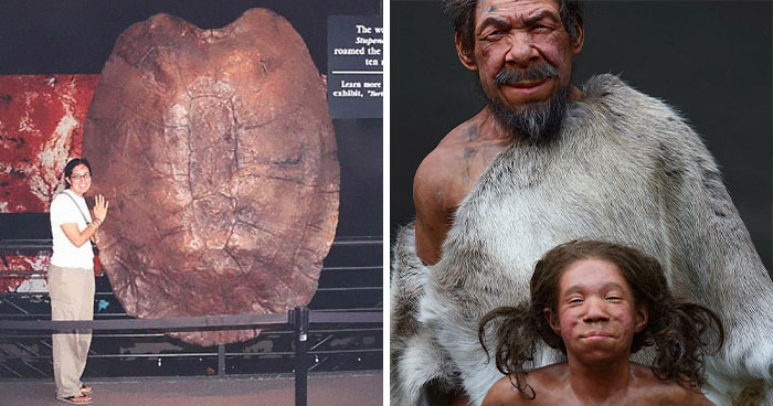 40 Imágenes interesantes que demuestran que la naturaleza de hace millones de años era increíble