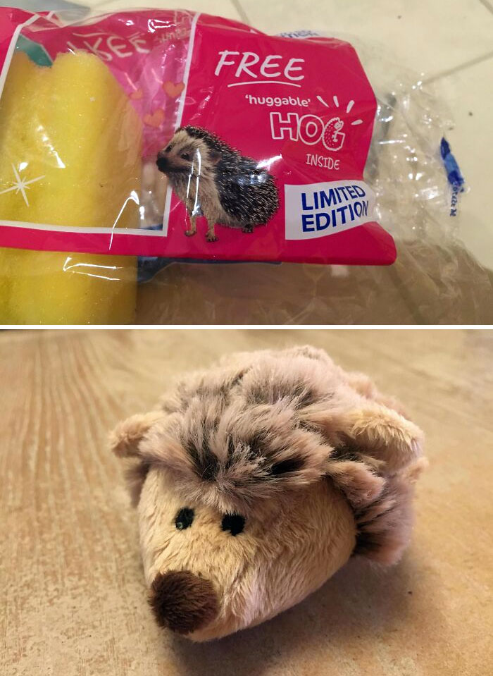 Este paquete de esponjas trae un erizo de regalo