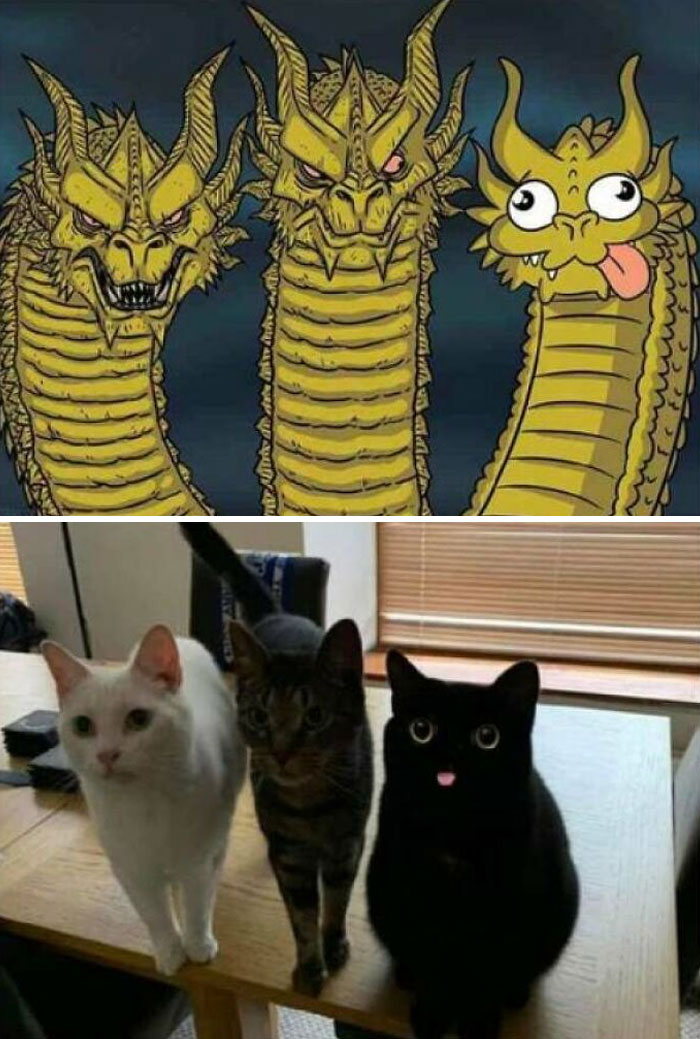 Gracias, lo adoro