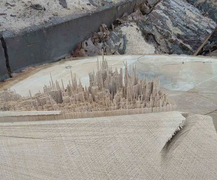 La forma en que este tocón de árbol tiene un paisaje urbano en él