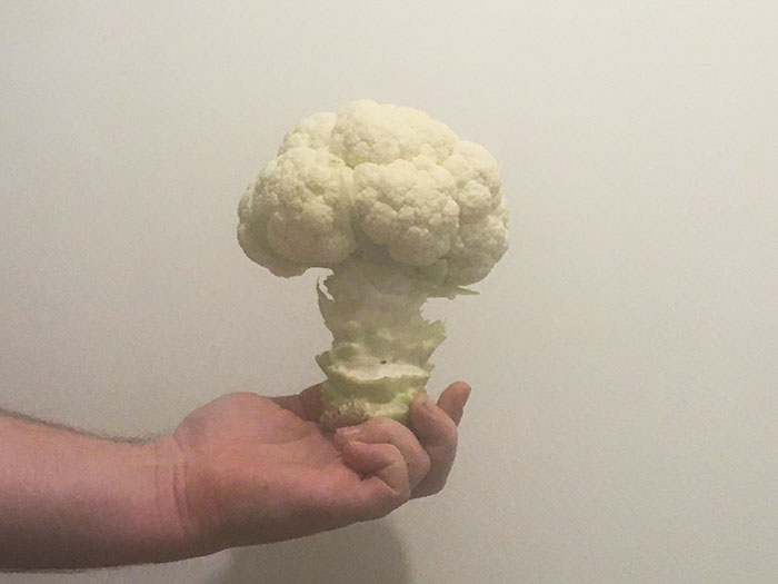 Mi coliflor parece la nube de un hongo atómico