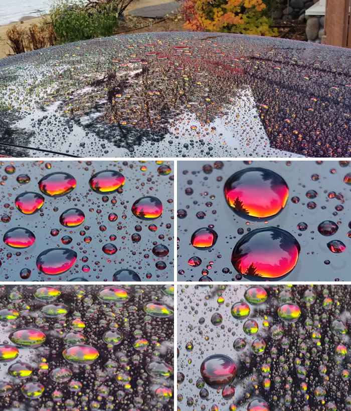 La parte superior de mi coche cubierta por la lluvia de la mañana parece un campo de joyas al atardecer