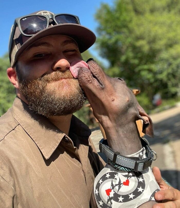 Este es Louie. Él es un sin pelo de sólo unos meses de edad Austin, Texas