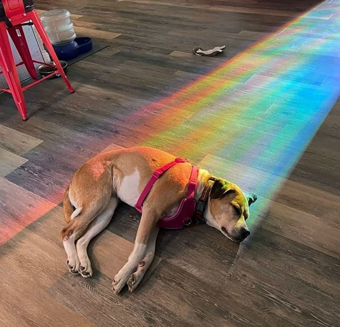 La descripción perfecta del tesoro al final del arco iris