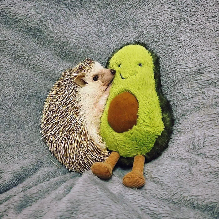 Acurrucado con su peluche