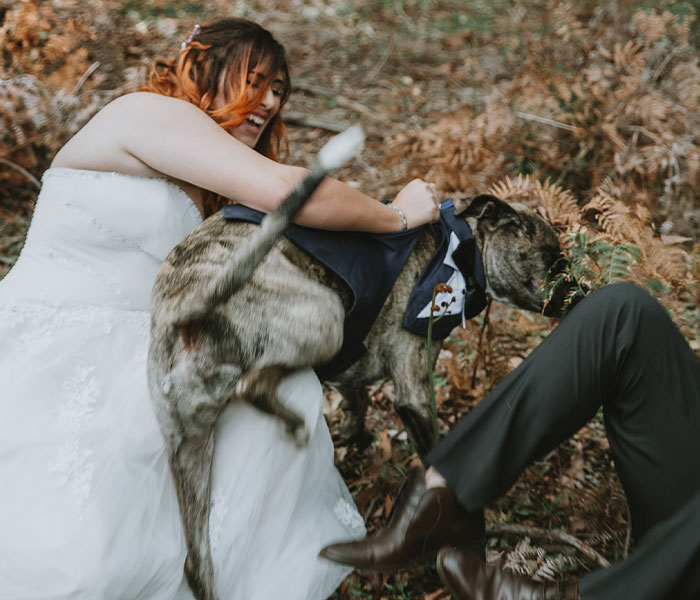 Este perro hizo photobomb en la boda de sus dueños, y la gente comparte fotos similares