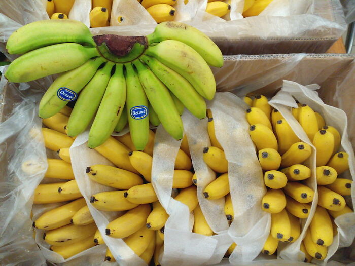 20 Alimentos que la gente ha estado comiendo "mal" durante bastante tiempo