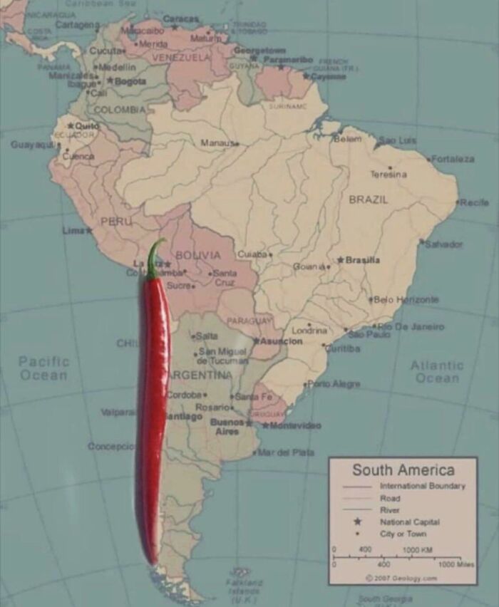 Muy acertado