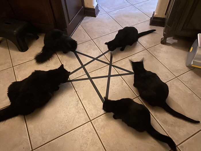 50 Pics Without Context That Get Weirder And Weirder The Longer You Look At Them, As Shared On This Online Group (New Pics)