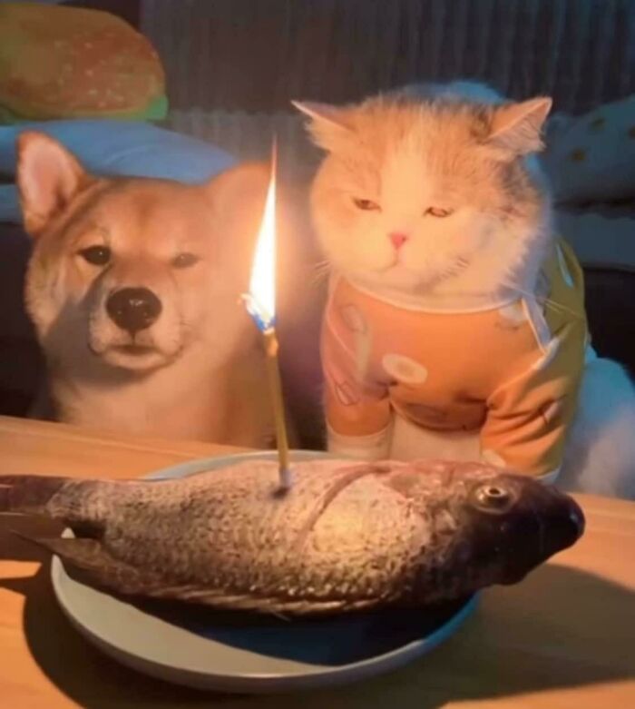 50 Pics Without Context That Get Weirder And Weirder The Longer You Look At Them, As Shared On This Online Group (New Pics)