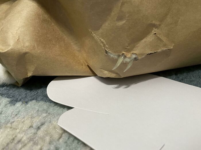 Una bolsa de papel con sorpresa