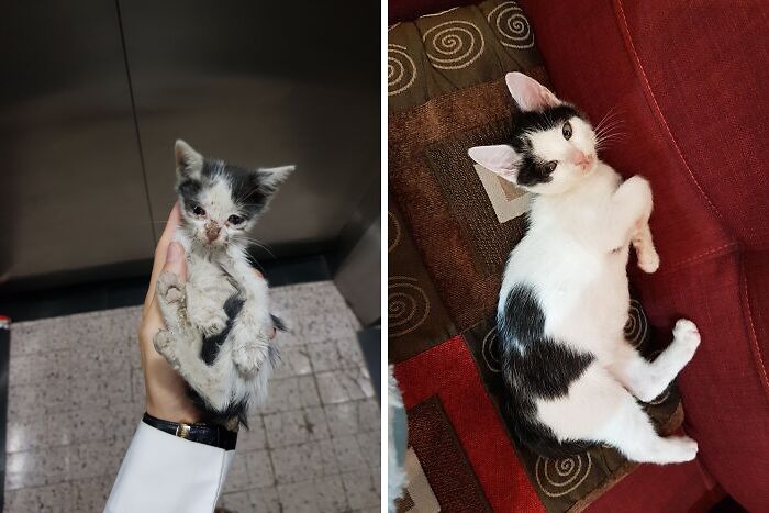 Este pequeñín es muy feliz ahora