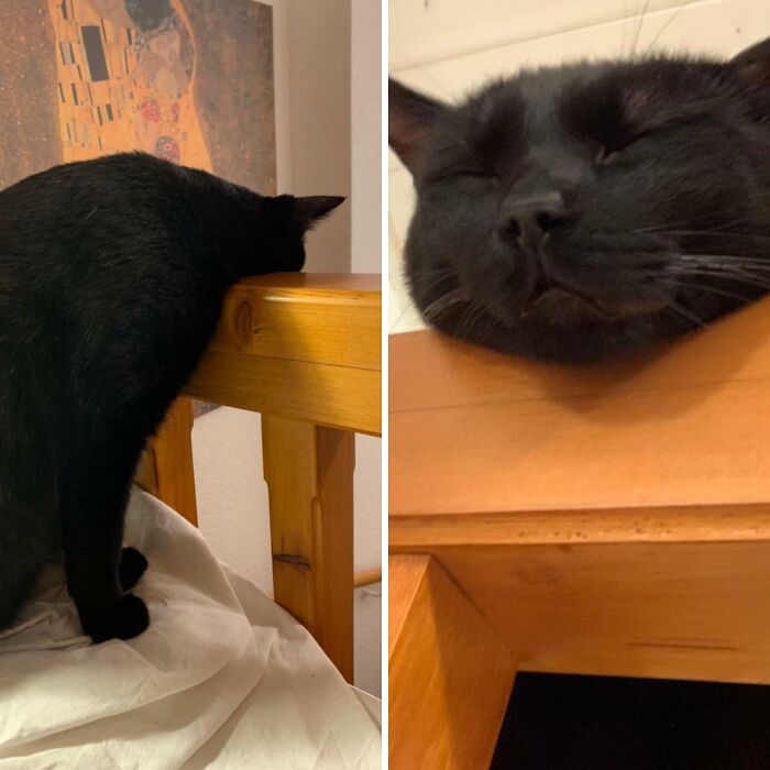 *Duerme así durante horas*