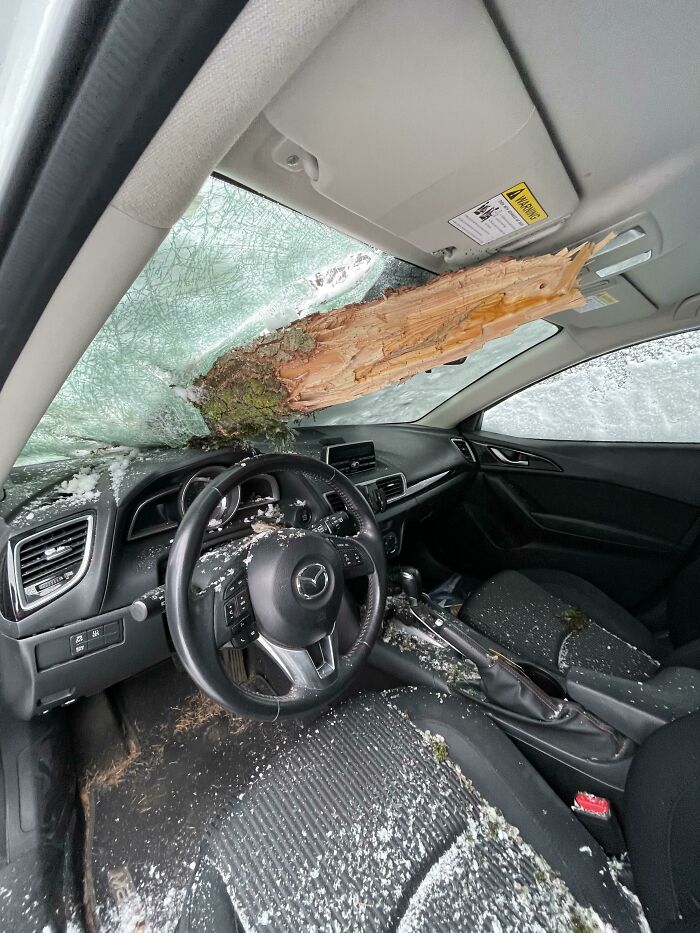 Menos mal que no me senté esta mañana en mi coche para quitarle el hielo