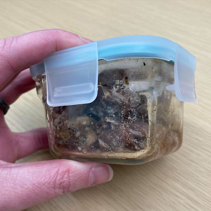 He encontrado este almuerzo en una bolsa en mi escritorio. Es de hace 2 años. No lo he abierto por no desencadenar otra pandemia