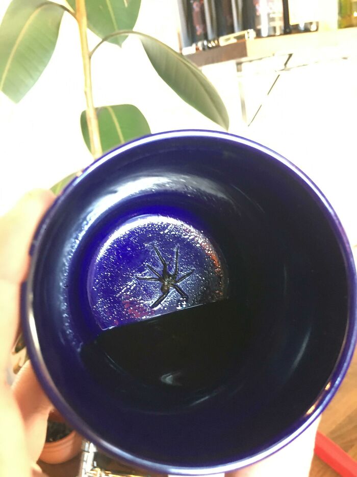 Mi jefe me ha dado un café