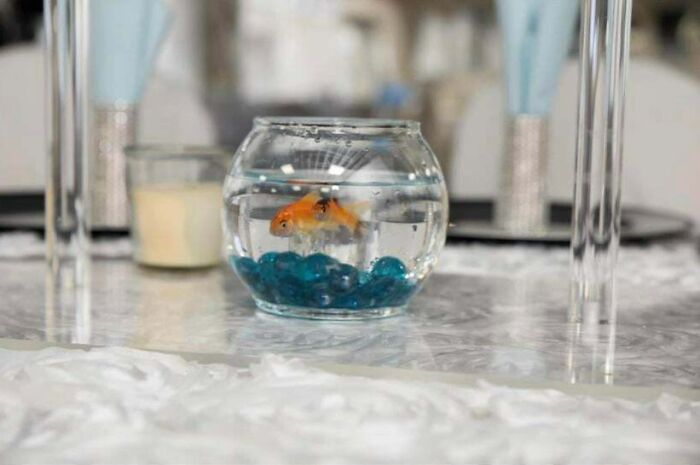 La novia usó peces como decoraciones y centros de mesa