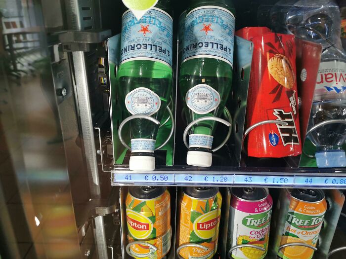 ¿Cuál escogeré?