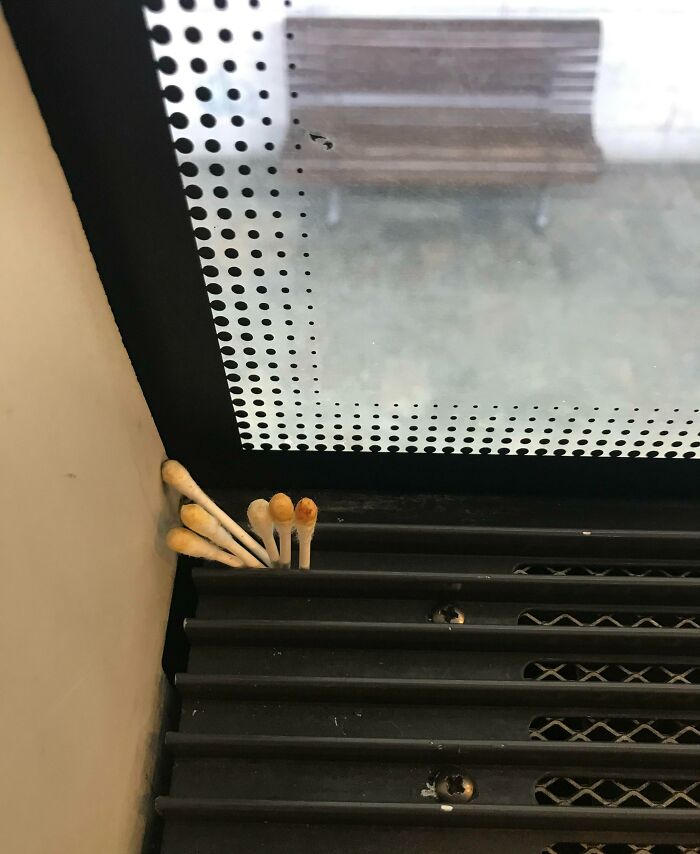 Alguien dejó estos hisopos usados en la ventada del tren