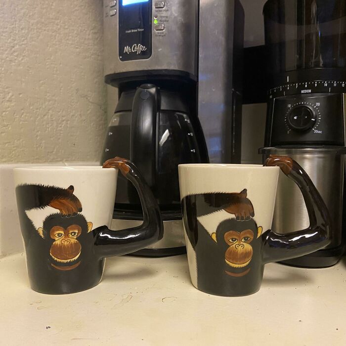 Hace 15 años, mi jefa me regaló una taza de chimpancé porque le recordaba a mí. Una década después, mi madre me regaló la misma taza por el mismo motivo