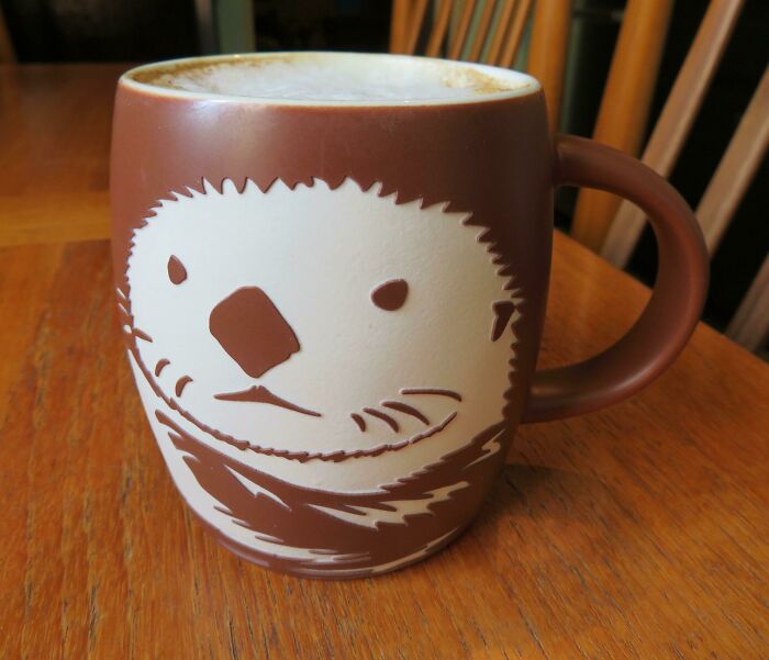 Mi taza de café de esta mañana era una nutria
