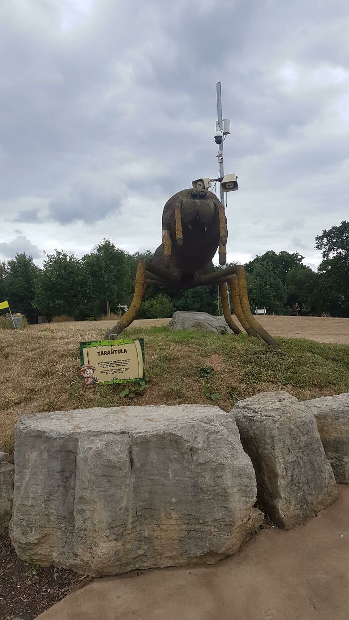 Parece deprimida