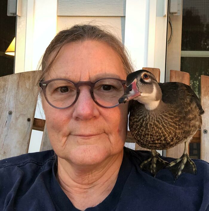 ¿Este pato en el hombro pasa el corte?