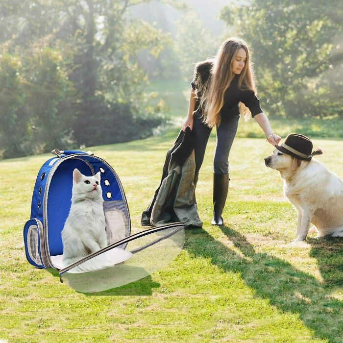 Estaba buscando una mochila para gatos y encontré esto