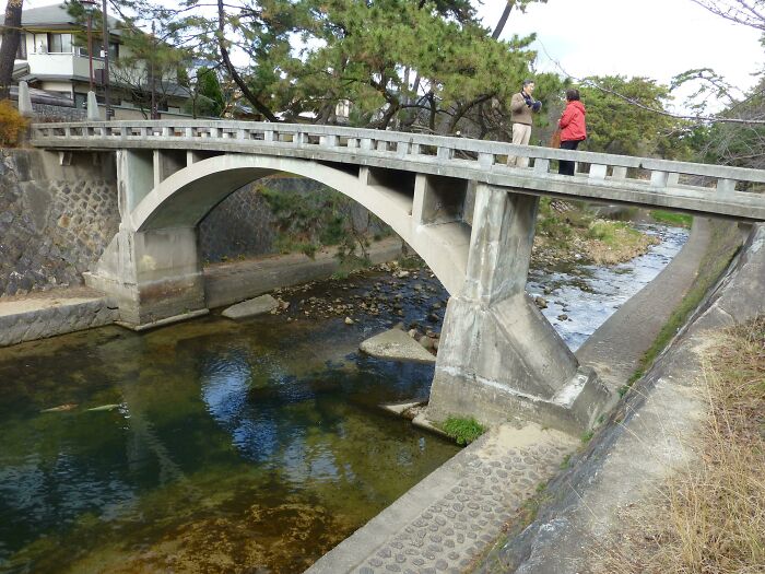 Un puente con barandillas que llegan a las rodillas