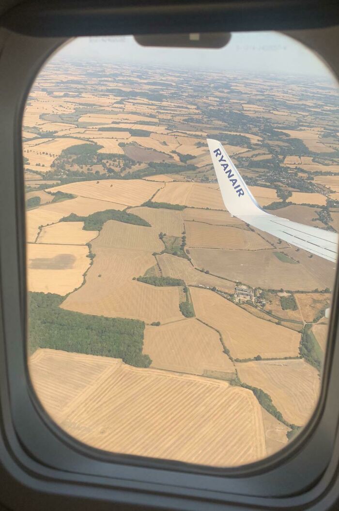 Volviendo a Inglaterra, veo que se ha vuelto marrón a causa de la ola de calor