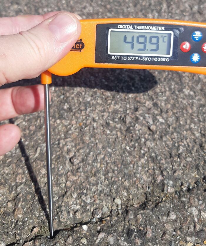 He tomado la temperatura de la carretera frente a mi casa... no paseéis a los perros con este calor