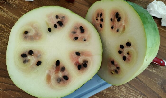 He esperado todo el verano para comerme esta sandía que cultivé en mi jardín