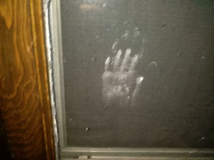 Anoche escuché un golpeteo y chasquidos. Miré la ventana y... esto está en el exterior. (Estoy en una casa de dos pisos, en el segundo piso. Debajo de la ventana hay un techo sobre la puerta principal)