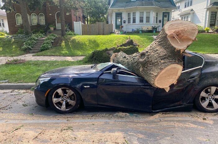 La madre naturaleza decidió que este BMW debía ser un descapotable
